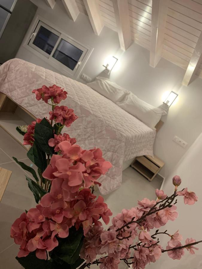 Terpsichore Boutique Bright New Sofita Studios And Appartment Dassia  Buitenkant foto